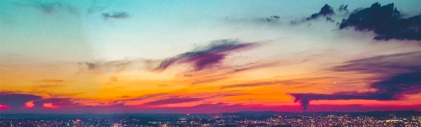 澧县茶虫网_澧县品茶